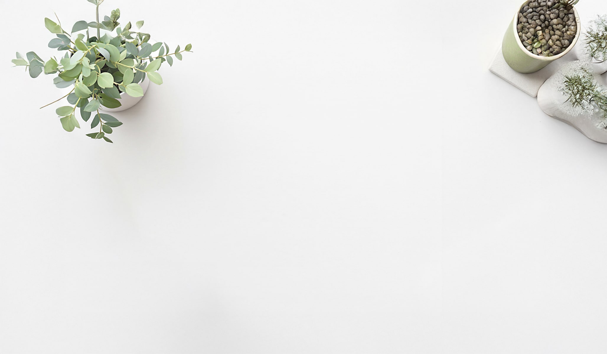 Pro Glossy Prints n/a 4x6