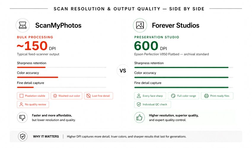 High-resolution photo scan showing fine detail and color accuracy