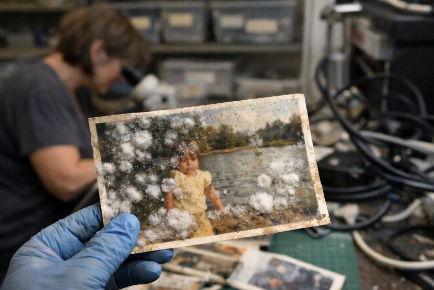 White fuzzy mold colonies on water-damaged photograph emulsion after 72 hours