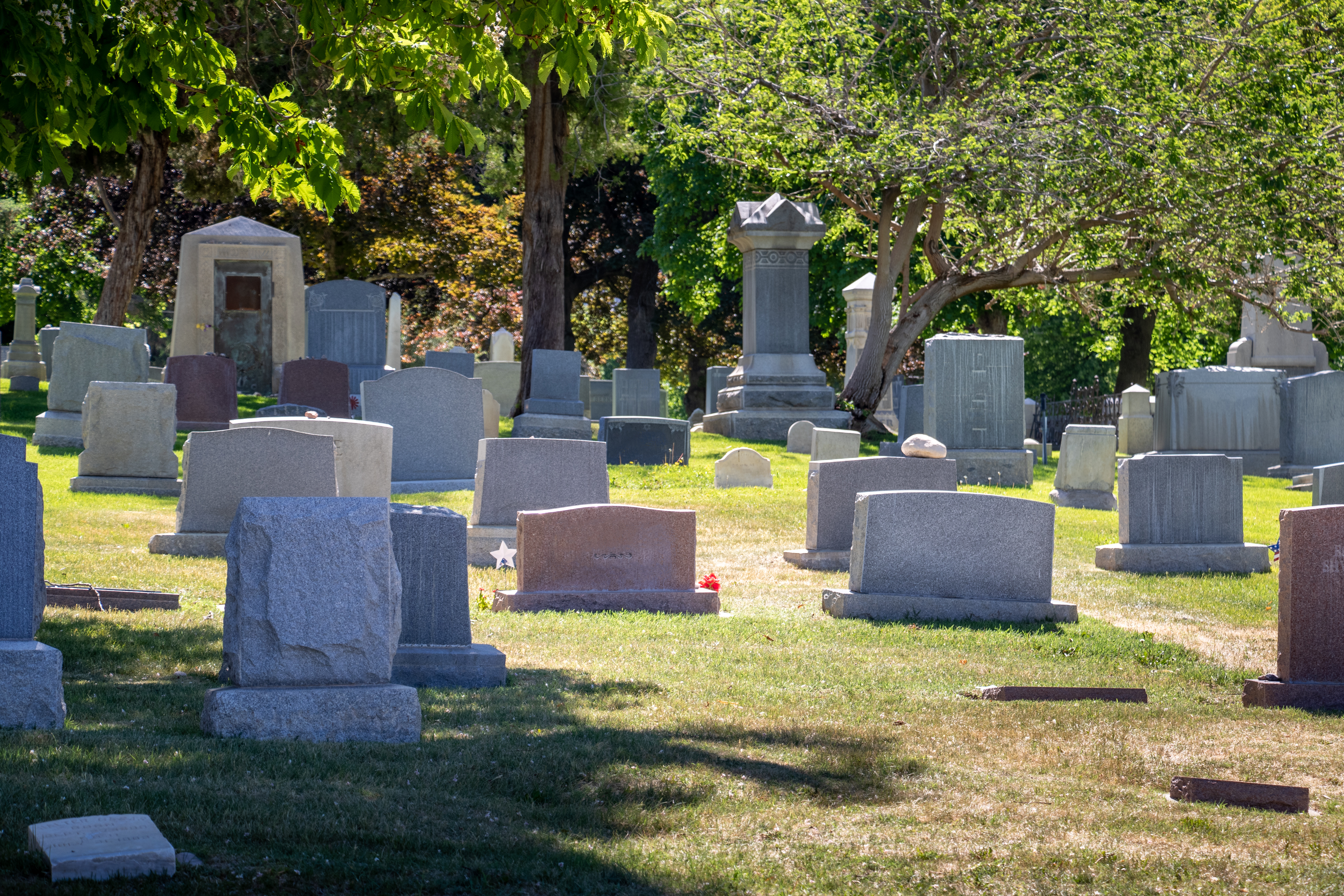 Photo of headstones in cemetery